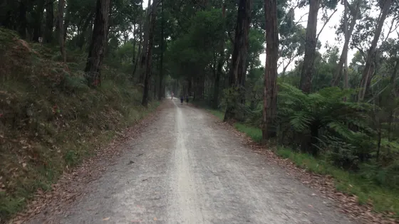 Lilydale to Warburton Rail Trail