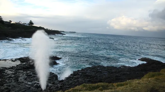 Little Blowhole