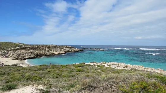 Little Salmon Bay