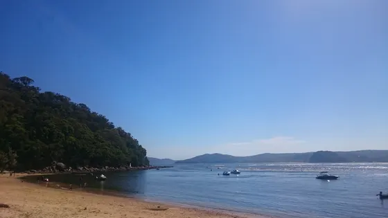 Lobster Beach