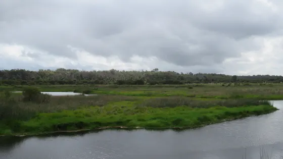 Loch McNess and Wetlands Walk Trail