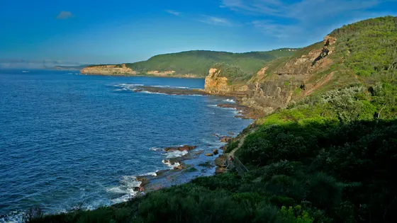 Maitland Bay track