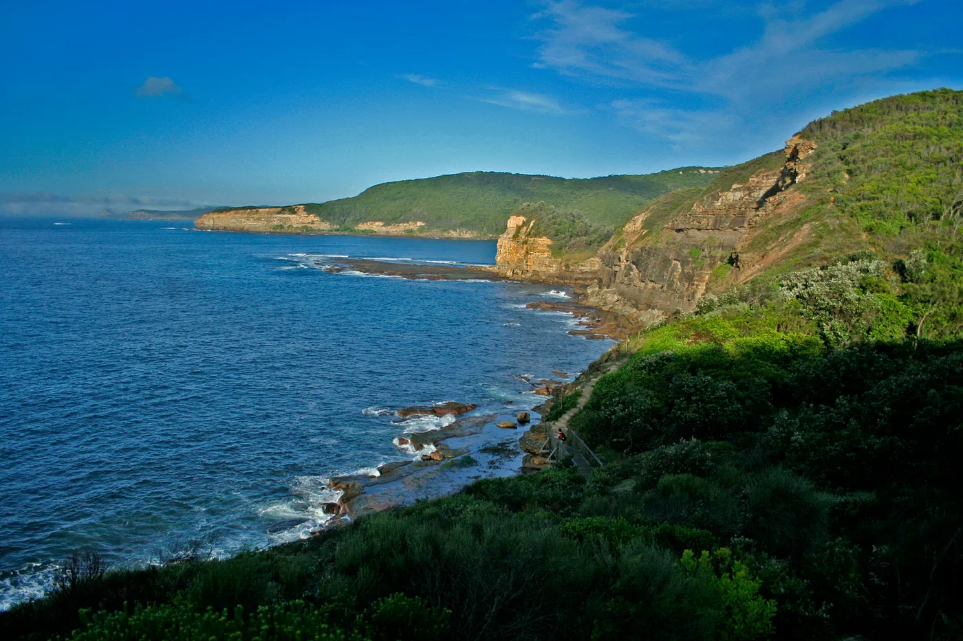 Maitland Bay track