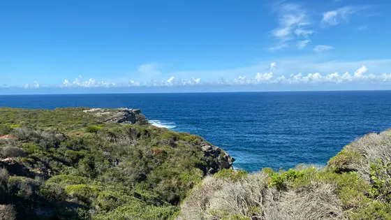 Malabar Headland National Park