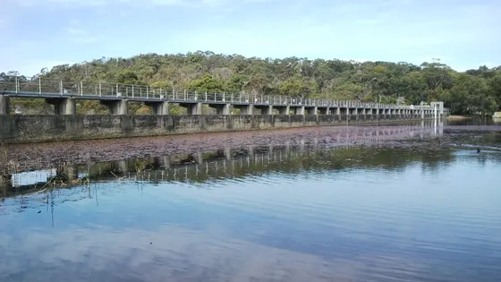 Manly Dam