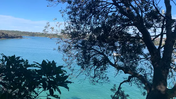 Manly Scenic Walkway