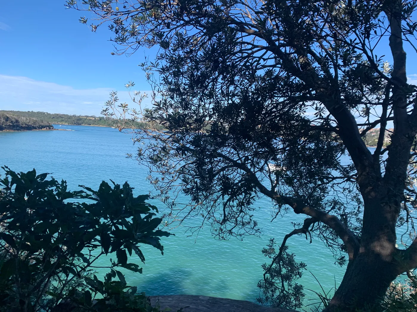Manly Scenic Walkway