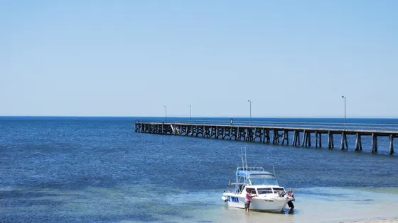 Marion Bay jetty and beach