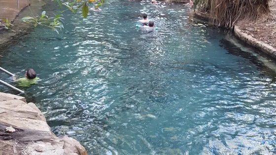 Mataranka Hot Springs