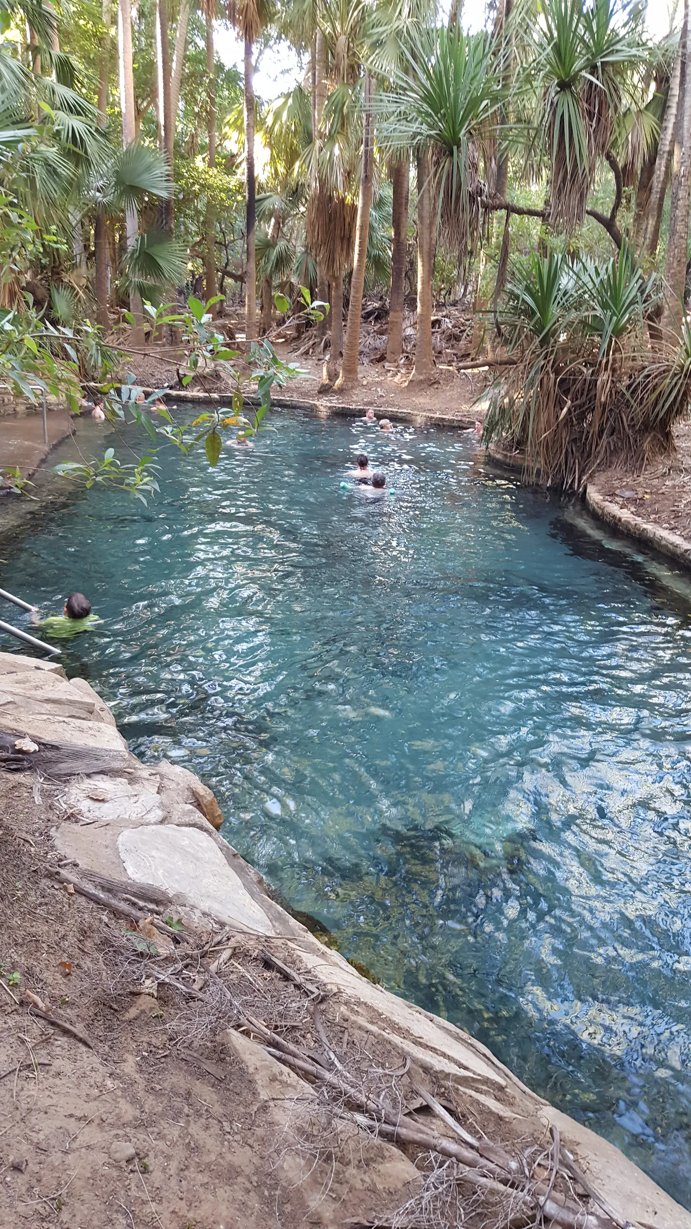 Mataranka Hot Springs