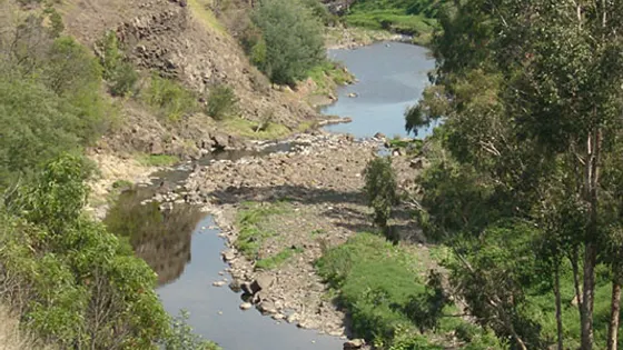 Merri Creek Trail