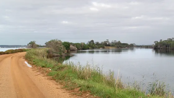 Mitchell River Silt Jetties