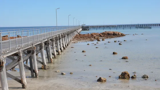 Moonta Bay Jetty swimming enclosure