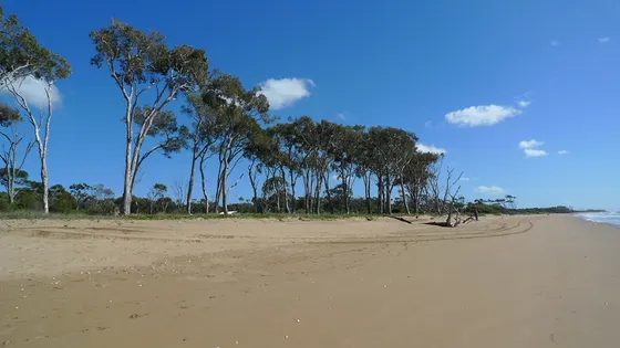 Moore Park Beach