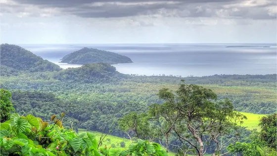 Mount Alexandra Lookout