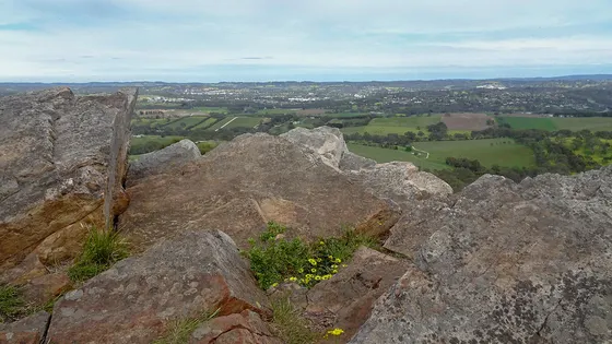 Mount Barker Summit