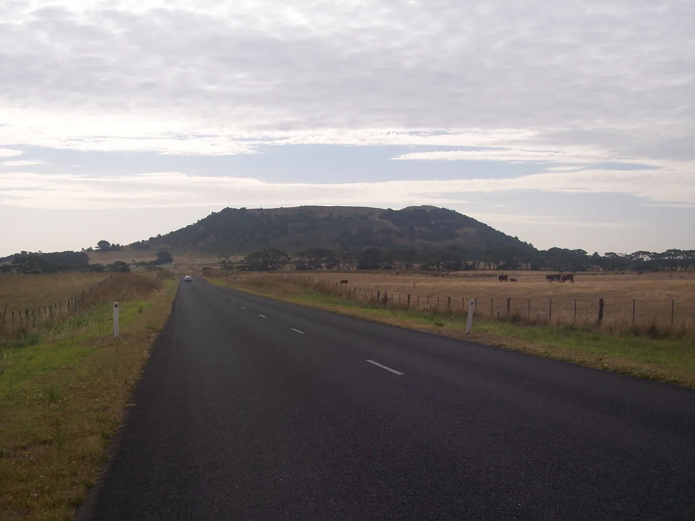 Mount Schank