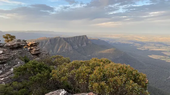Mount William (Duwul)