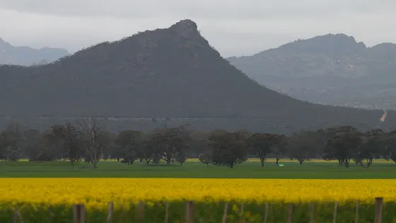 Mount Zero (Mura Mura)