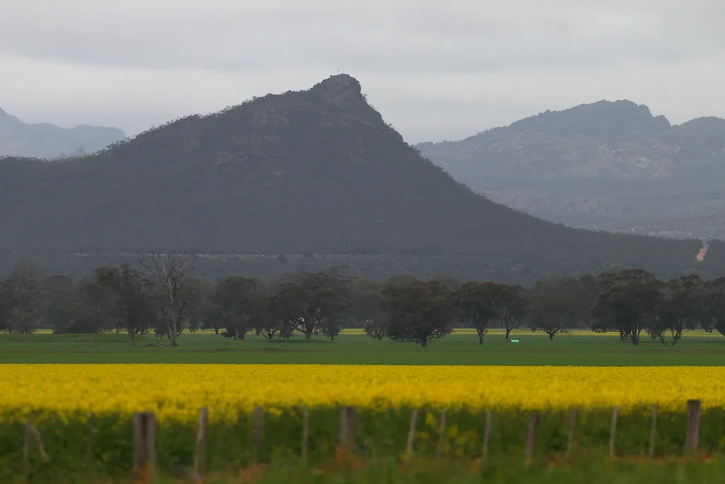 Mount Zero (Mura Mura)
