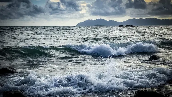 Murray Bay