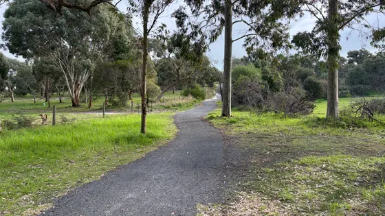 Naracoorte Creek Walk