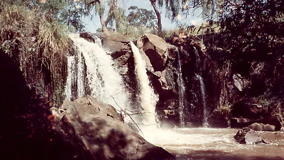 Narracan Falls