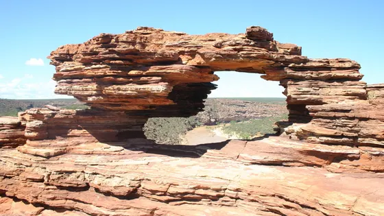 Nature's Window