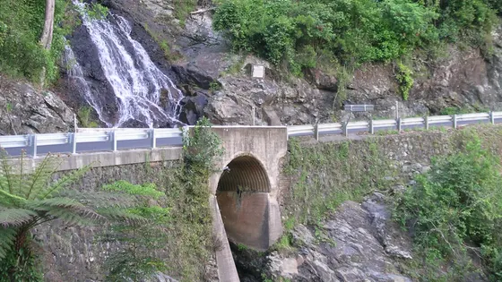 Newell Falls