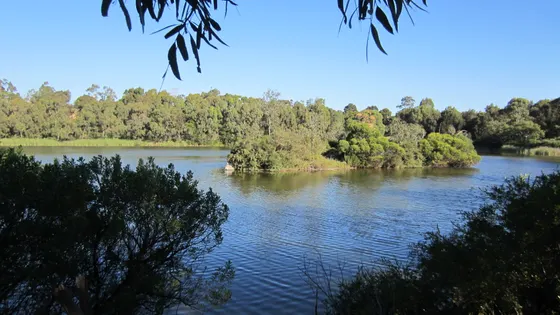 Newport Lakes
