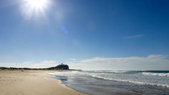 Nobbys Beach