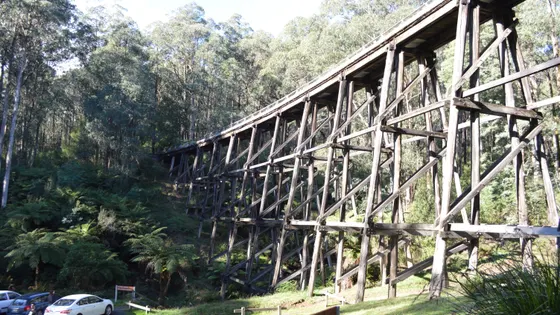 Noojee Trestle Bridge