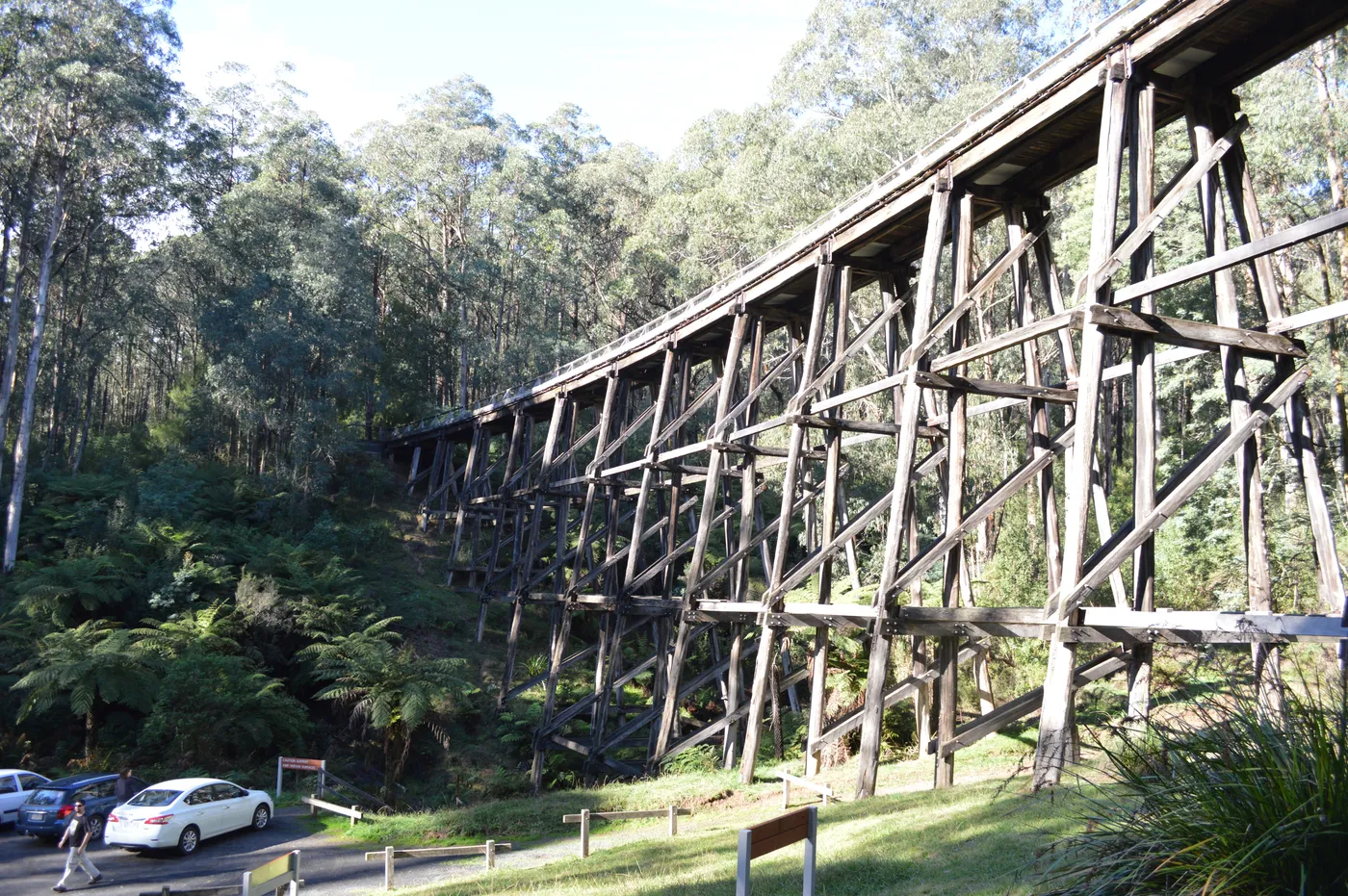 Noojee Trestle Bridge
