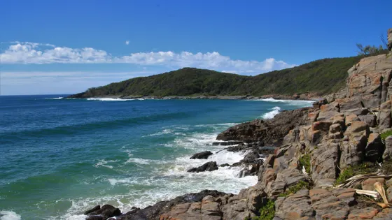 Noosa National Park Coastal Walk