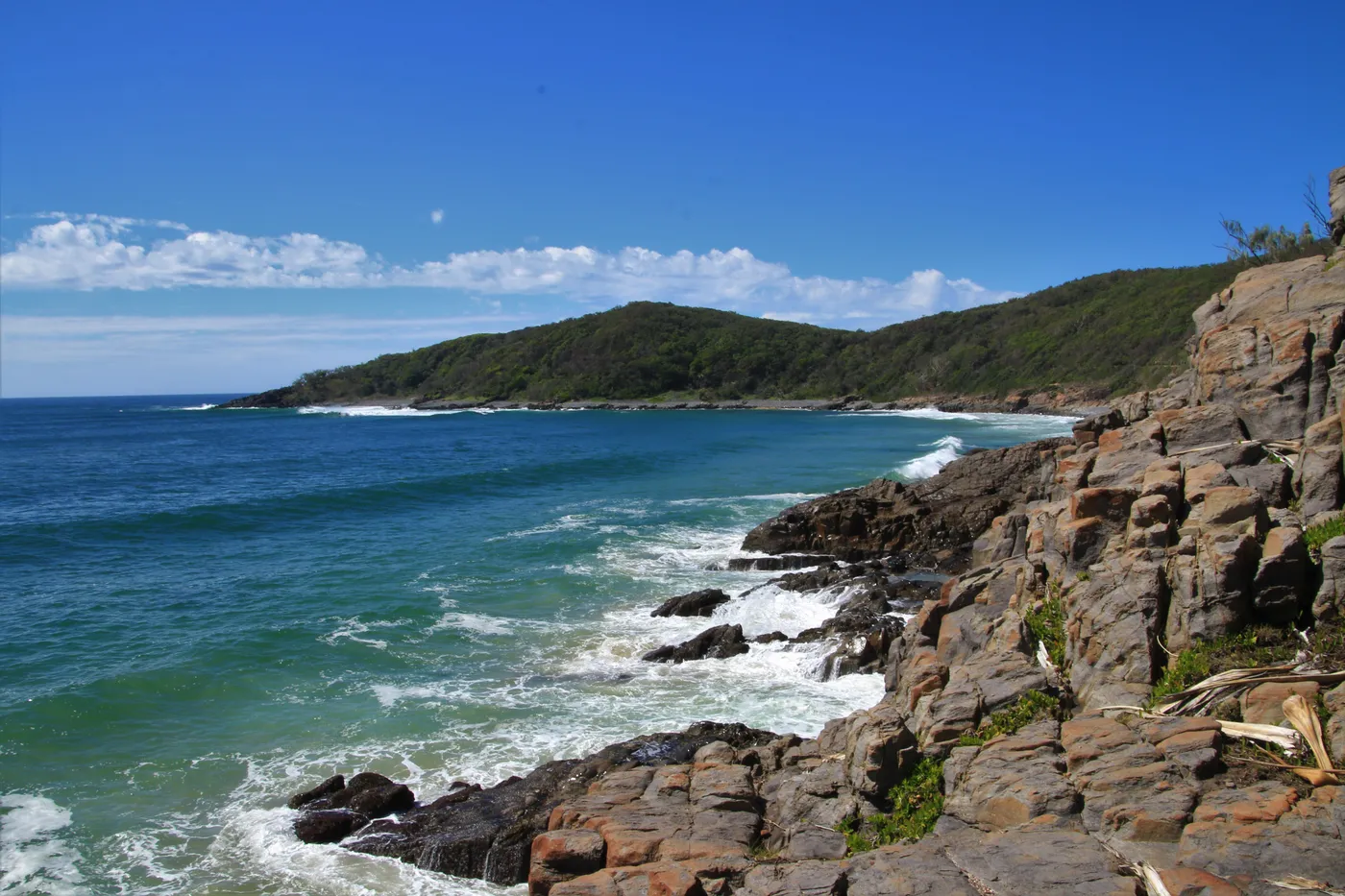 Noosa National Park Coastal Walk