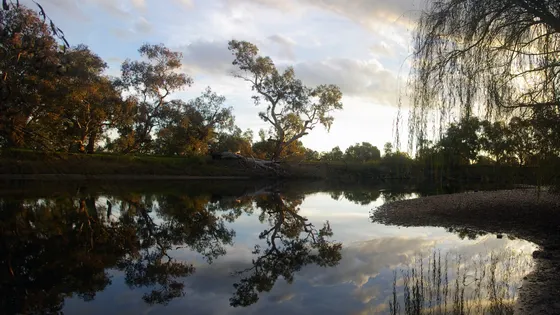 Noreuil Park