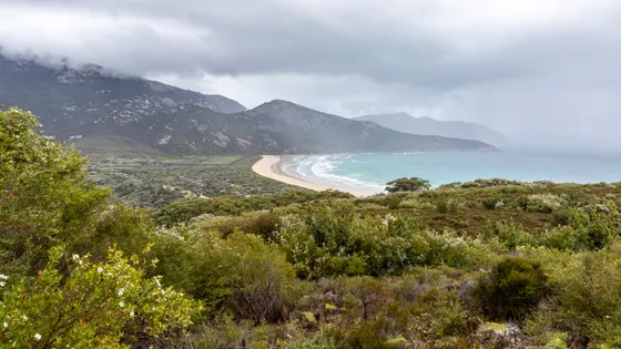 Norman Beach