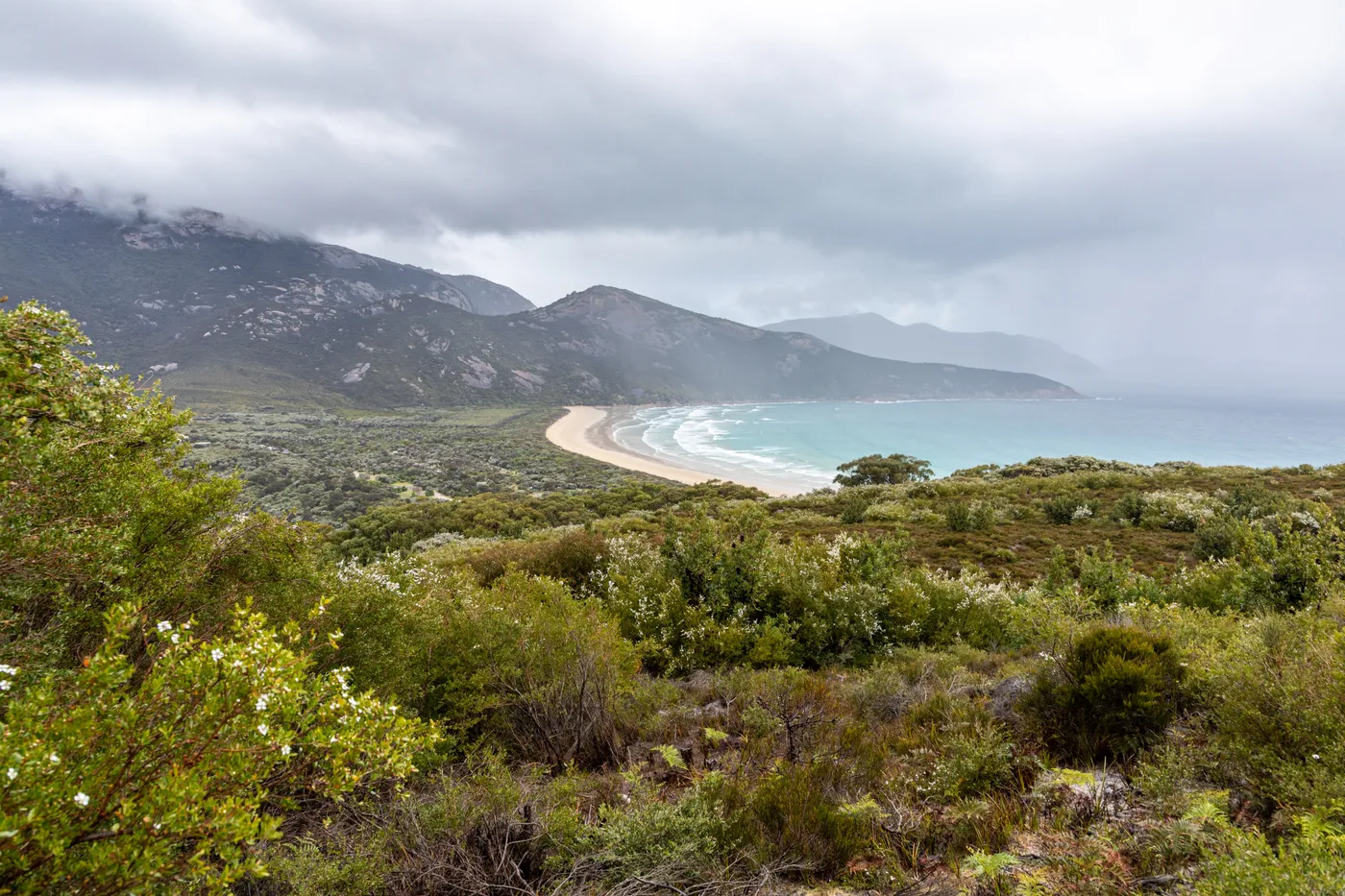 Norman Beach