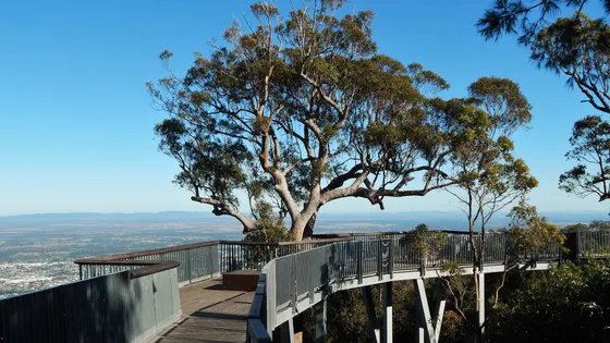 Nurim Circuit Elevated Boardwalk