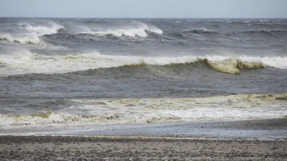 Ocean Beach