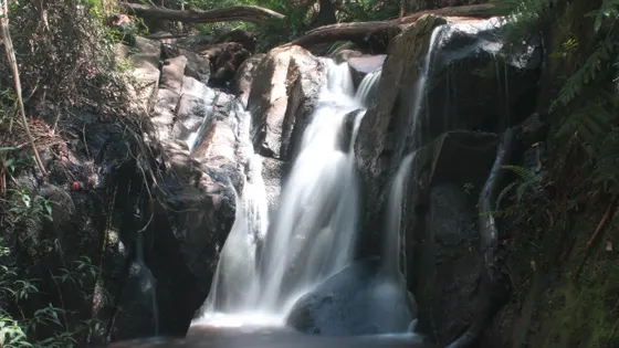 Olinda Falls