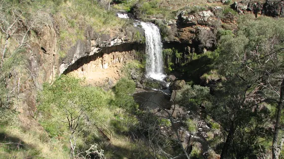 Paddys River Falls