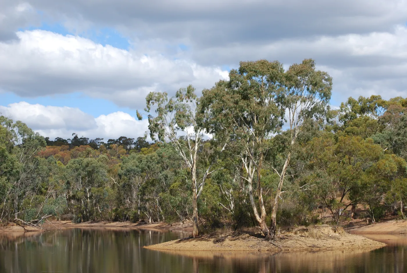 Para Wirra Lake Discovery Walk