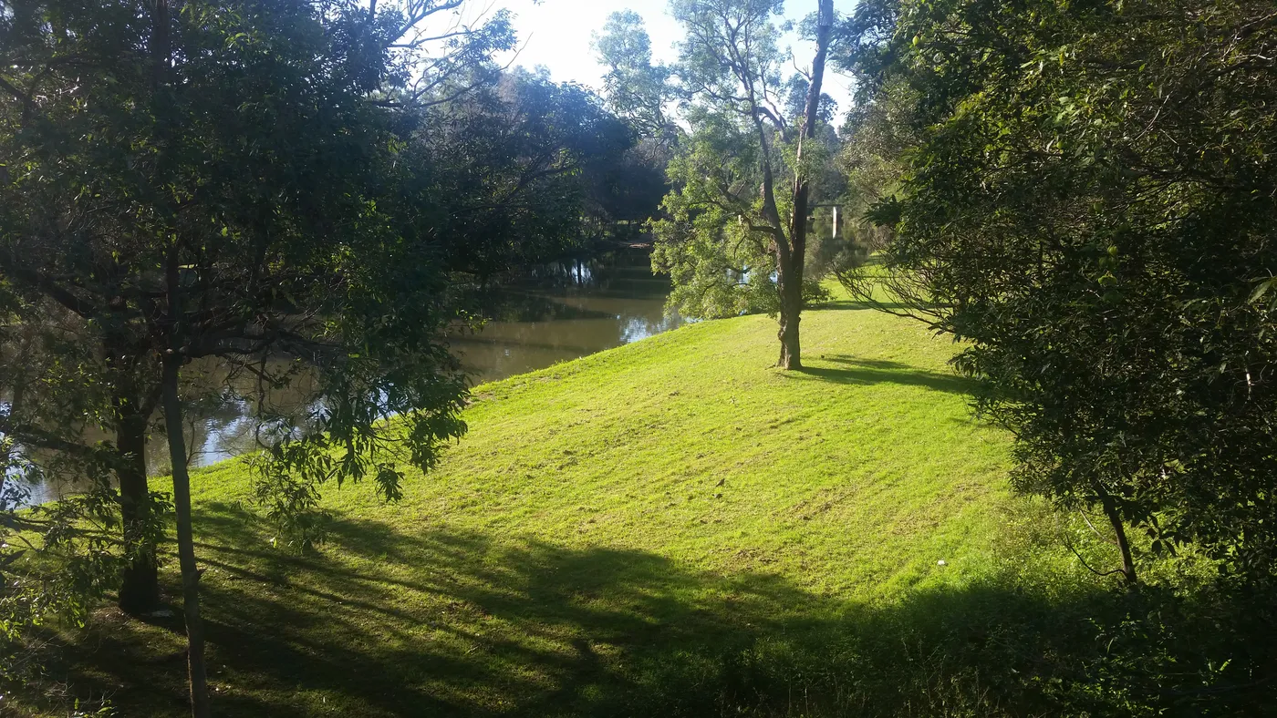Parramatta Park