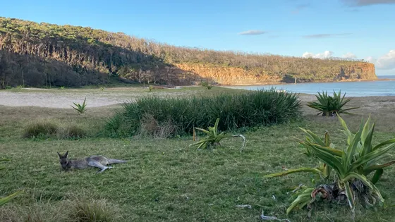 Pebbly Beach