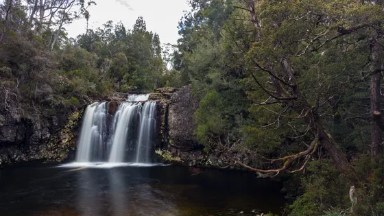 Pencil Pine Falls