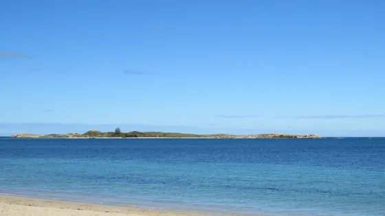 Penguin Island