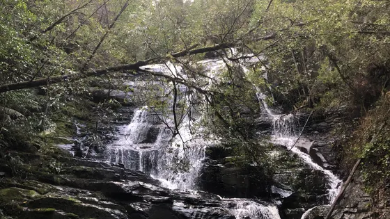 Pennyroyal Falls