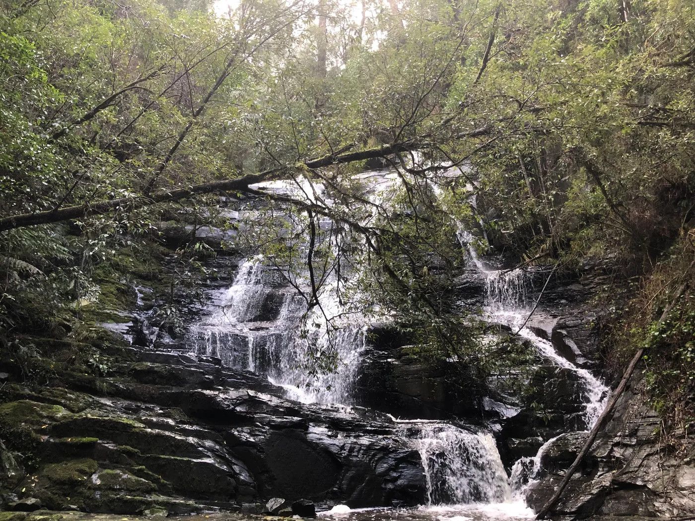 Pennyroyal Falls