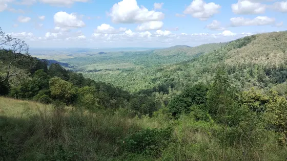 Pine Gorge Lookout